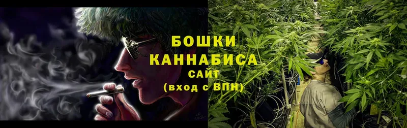 Бошки Шишки Amnesia  как найти закладки  Отрадная 